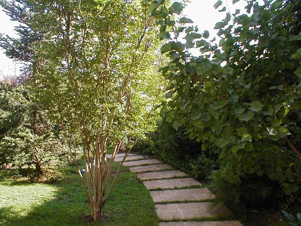 Villa for Sale in Baabdat, Lebanon — photo 5