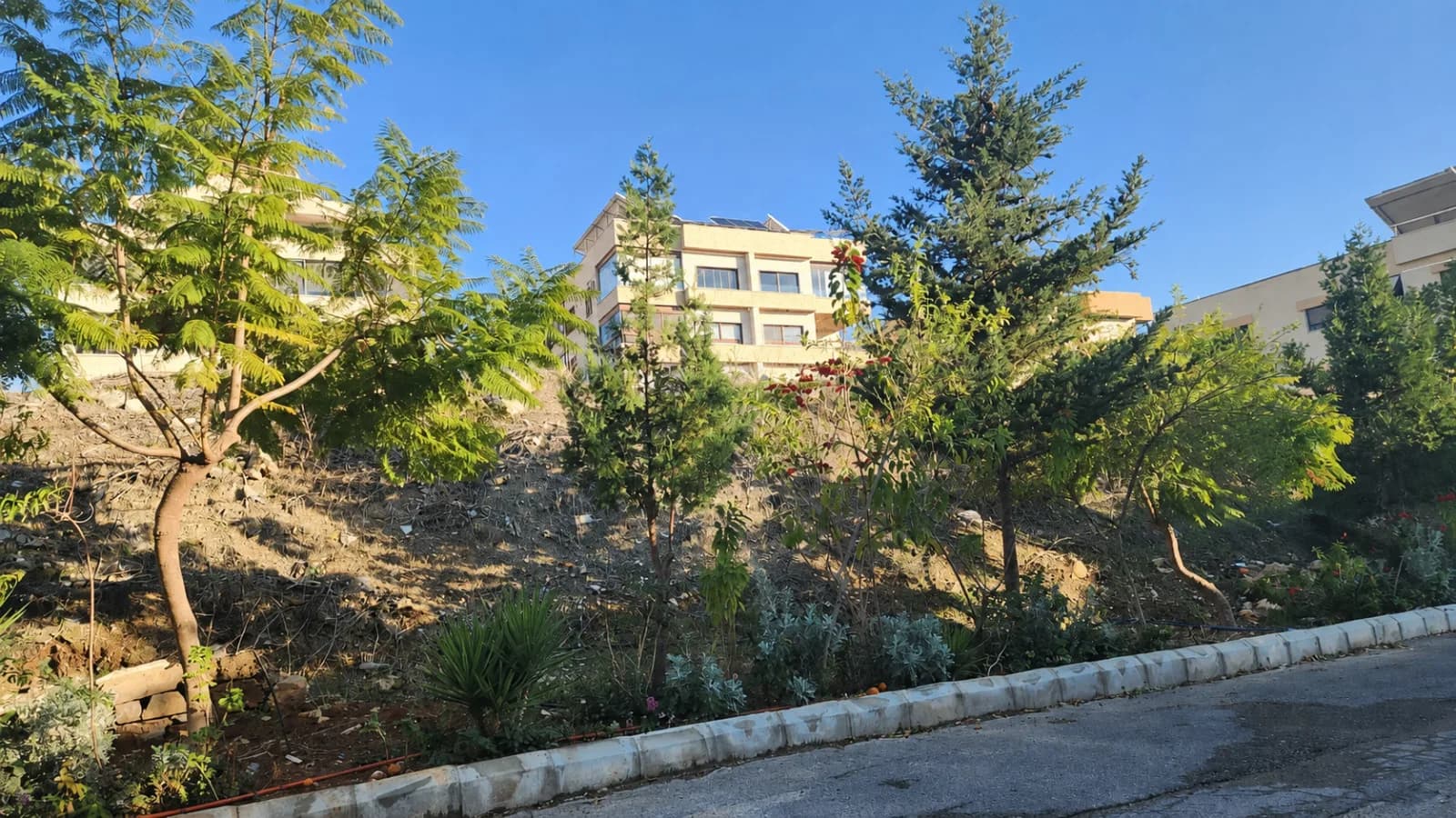 Land for Sale in Sidon — photo 4
