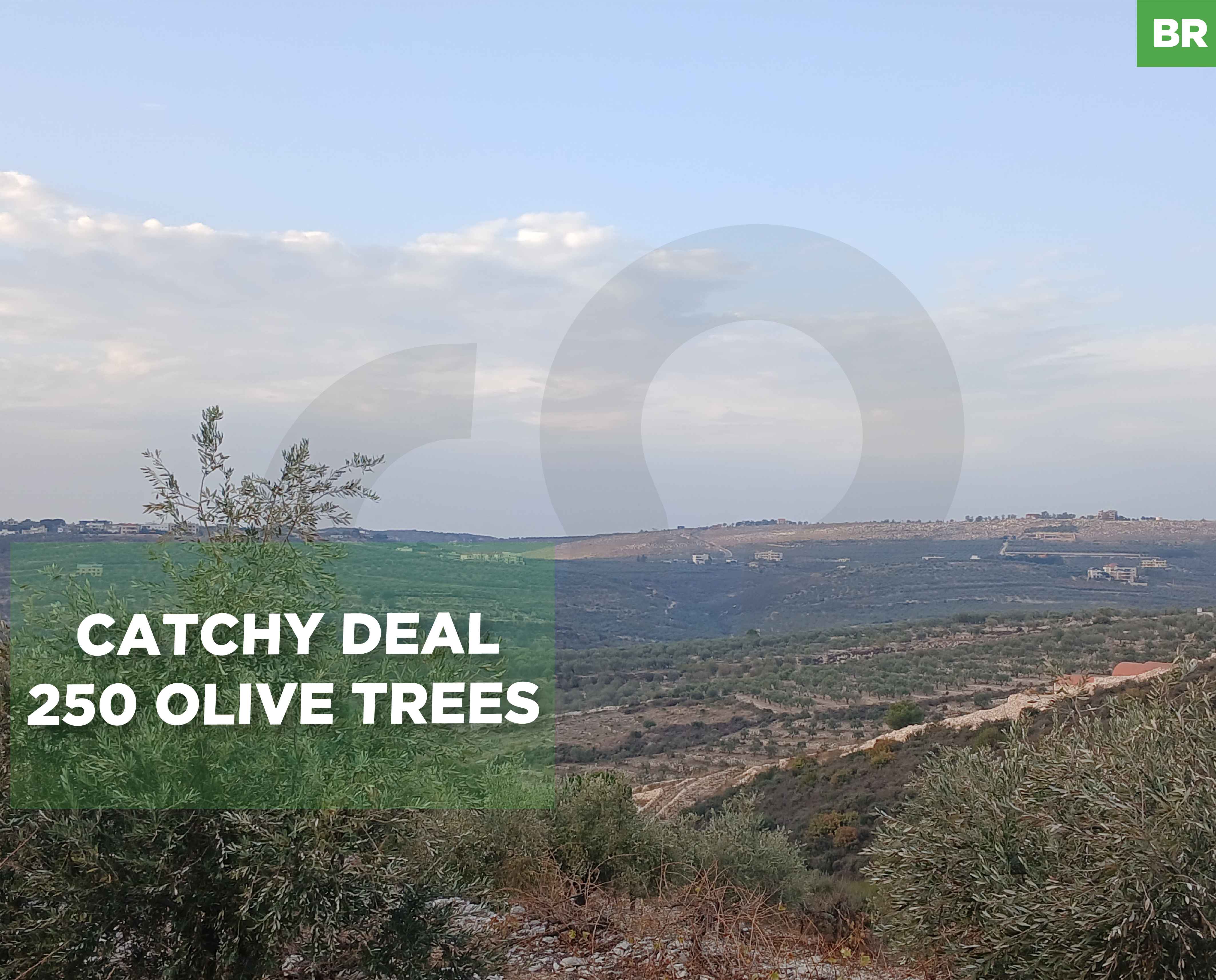 9450 sqm parcel of land IN BZIZA !