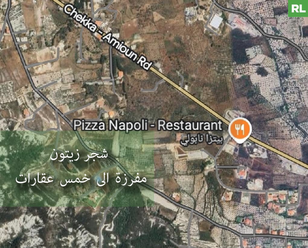 great deal, prime area, Amioun, Koura