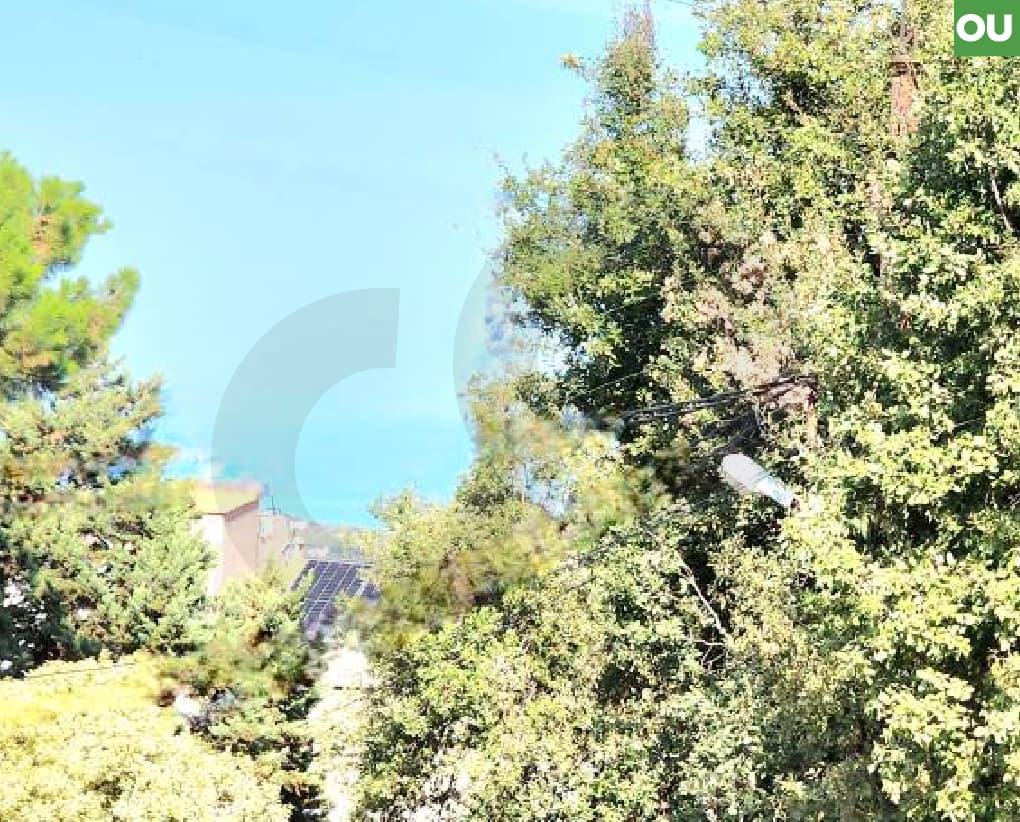 plot of land in the Mazraat Yachouh area