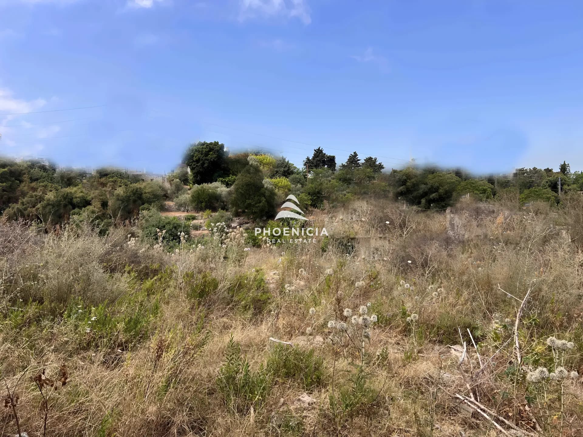 Land for Sale in Blat — photo 6