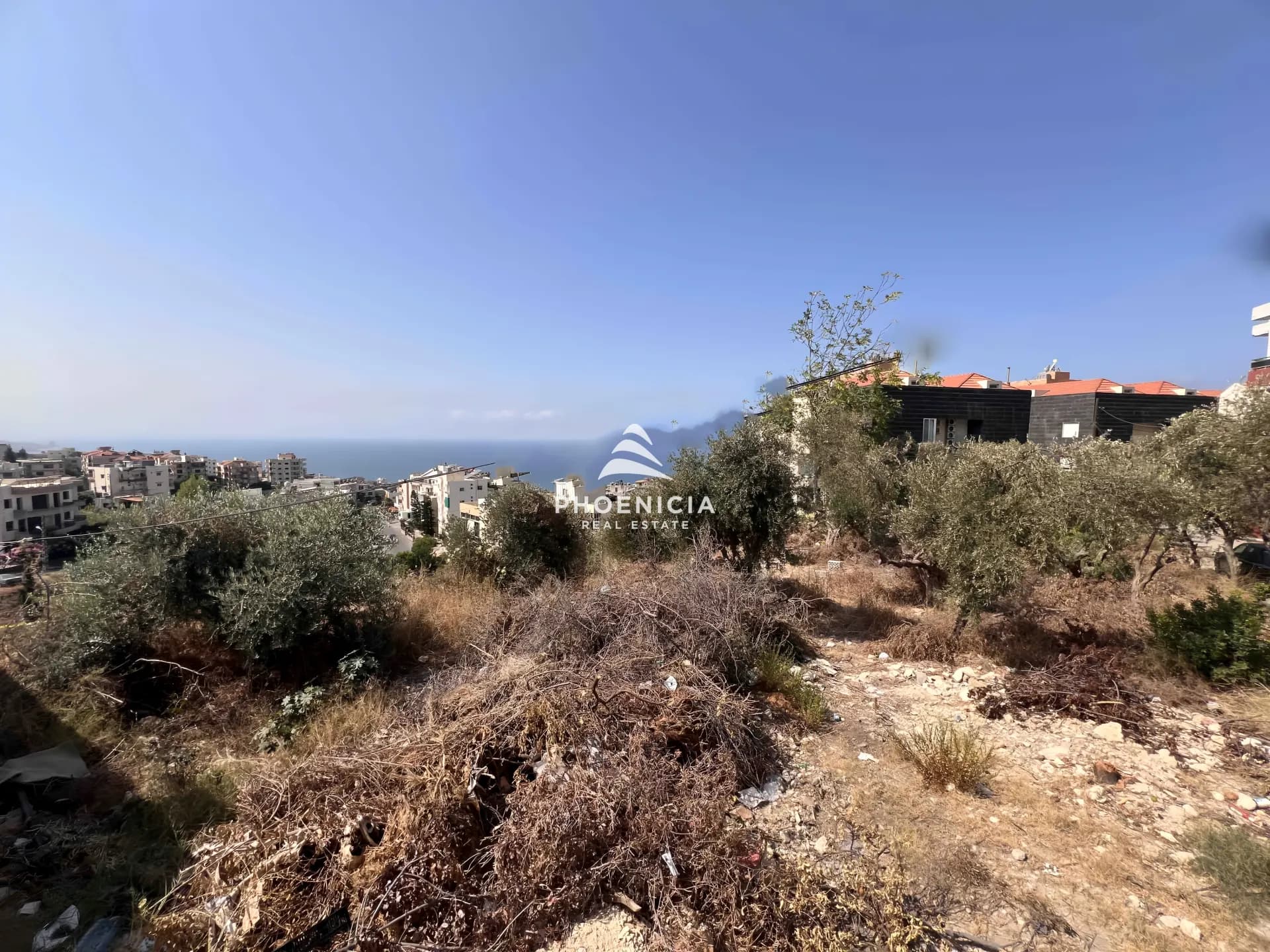 Land for Sale in Blat — photo 5