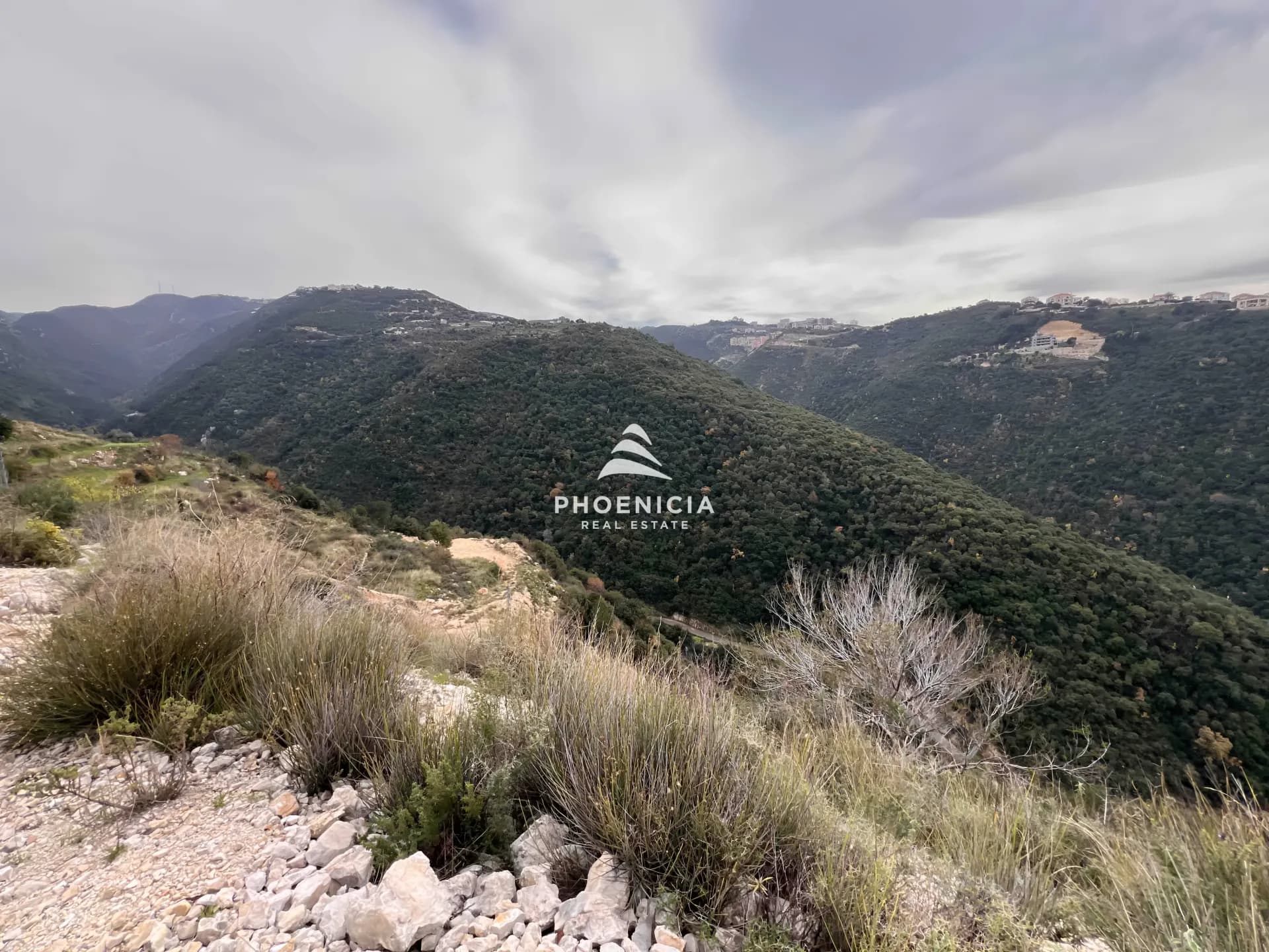 Land for Sale in Edde — photo 3