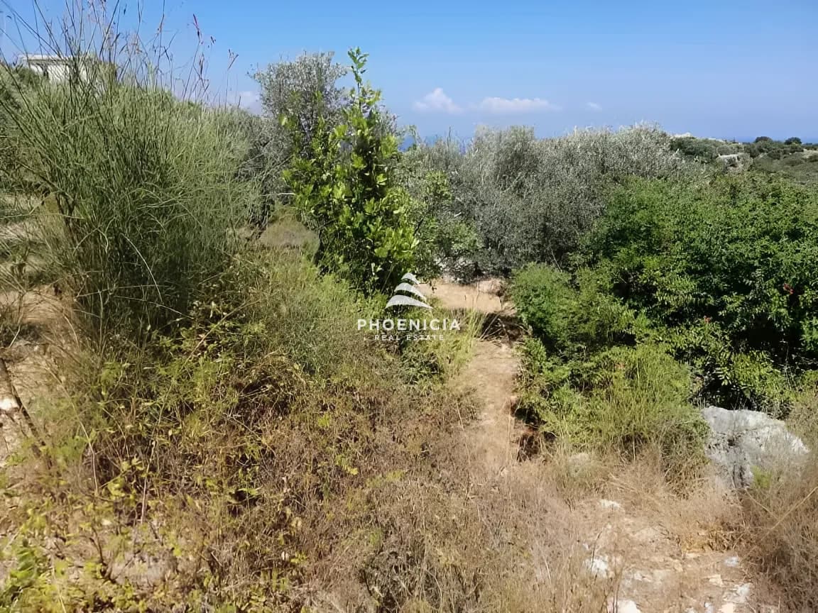 Land for Sale in Monsef — photo 15