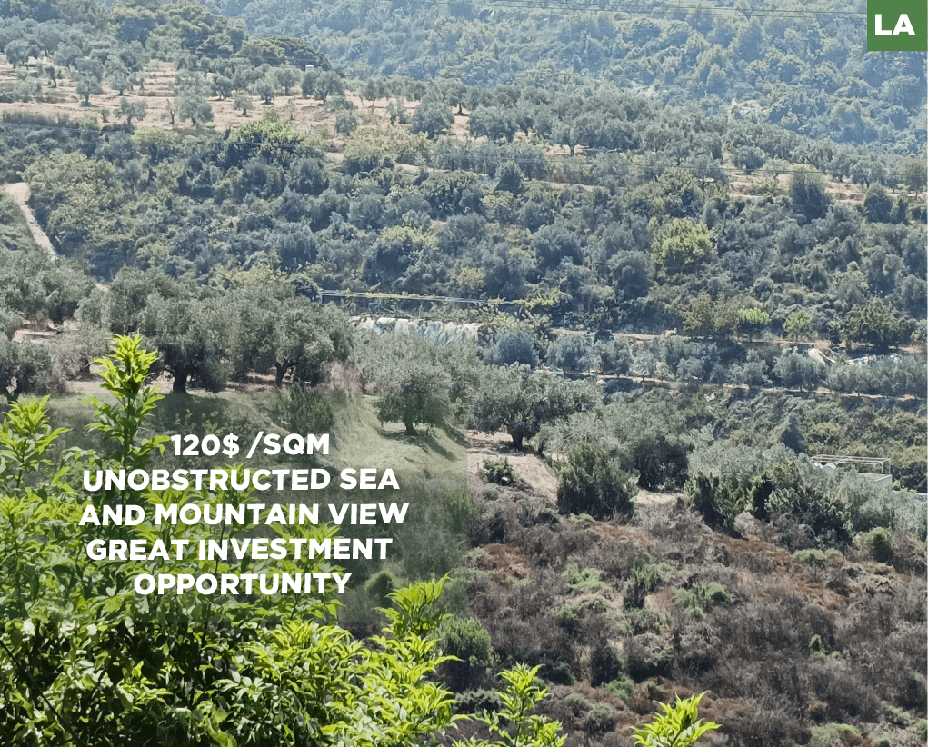 PANORAMIC SEA AND MOUNTAIN VIEW / LAND FOR SALE / MAGHDOUCHE-SAIDA