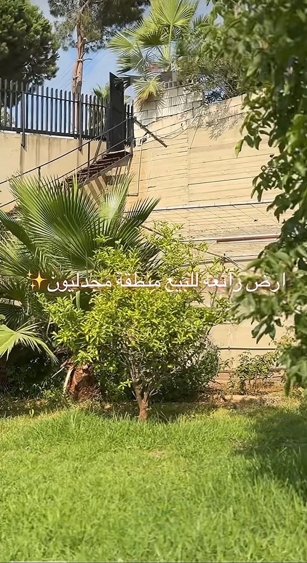 أرض للبيع مجدليون — photo 4