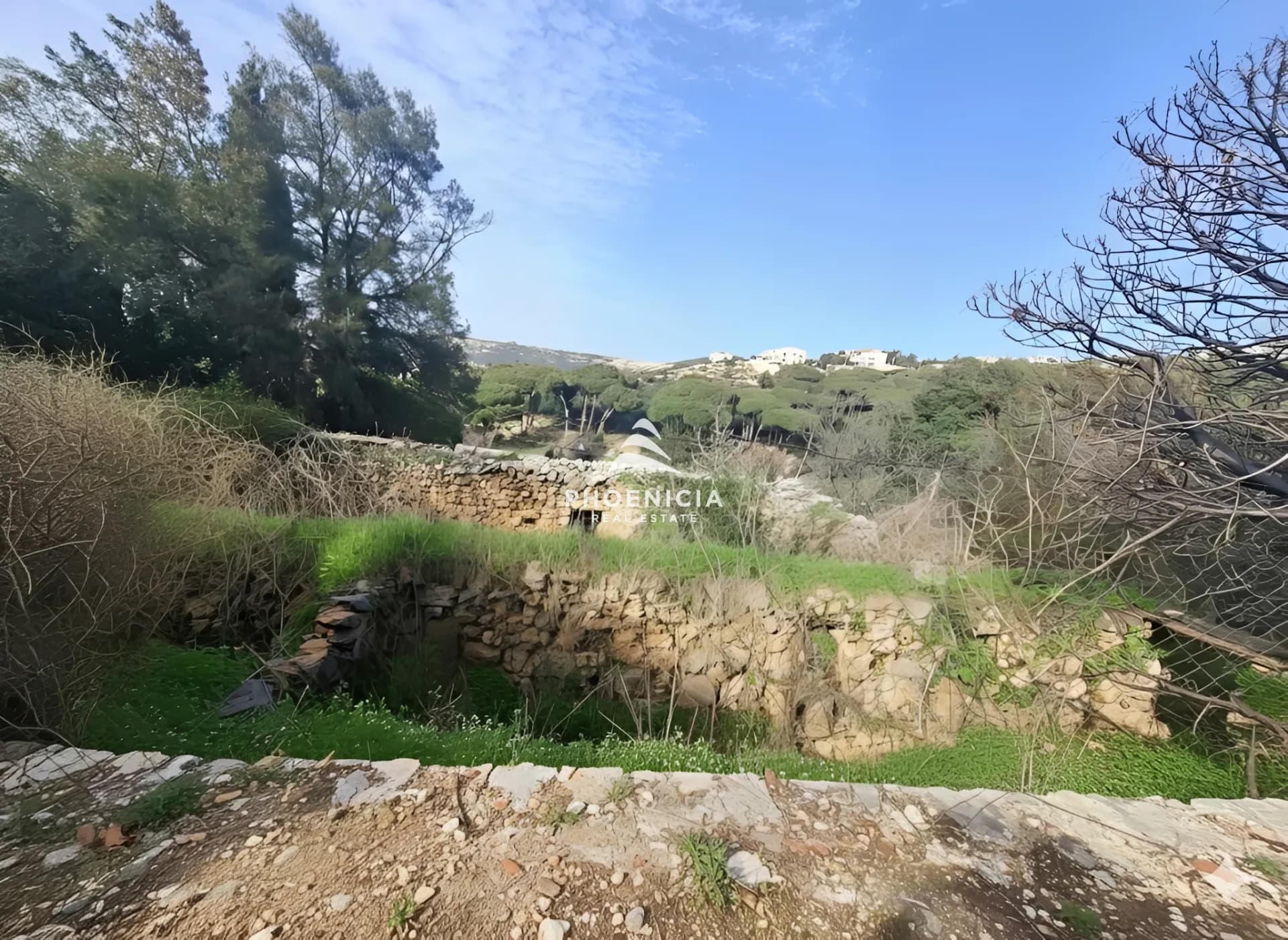 Land for Sale in Batroun — photo 4