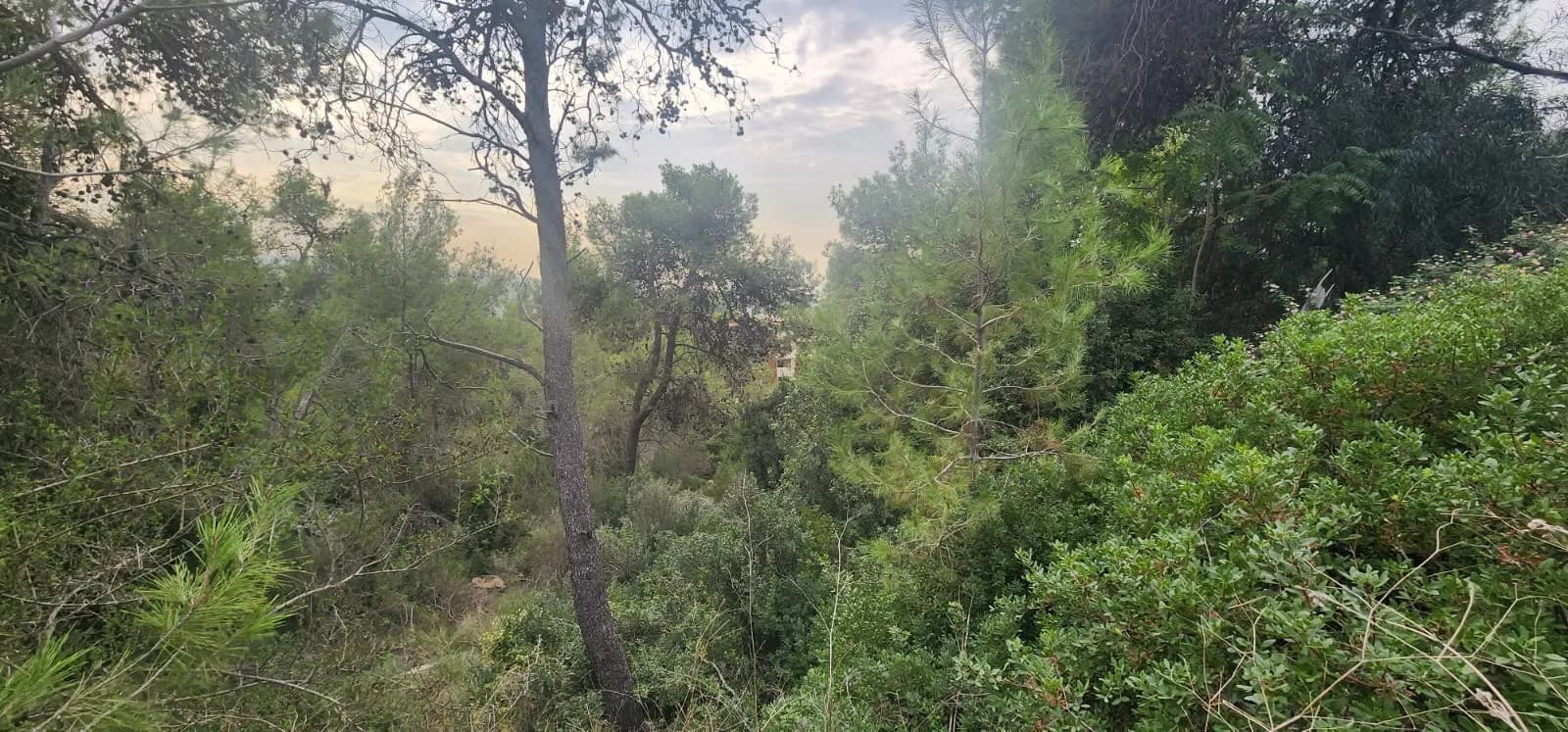 Land for Sale in Yarzeh, Lebanon
