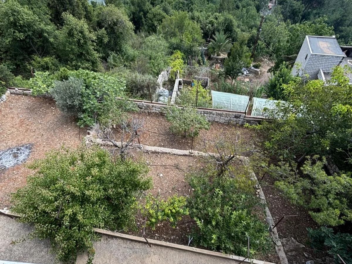 Land for Sale in Byblos — photo 3