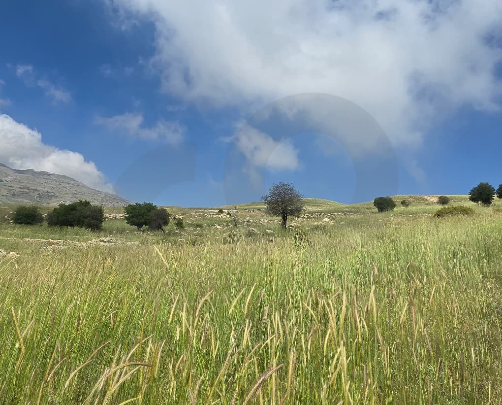 Mountain View/Hot Deal/Baabda - Falougha — photo 2