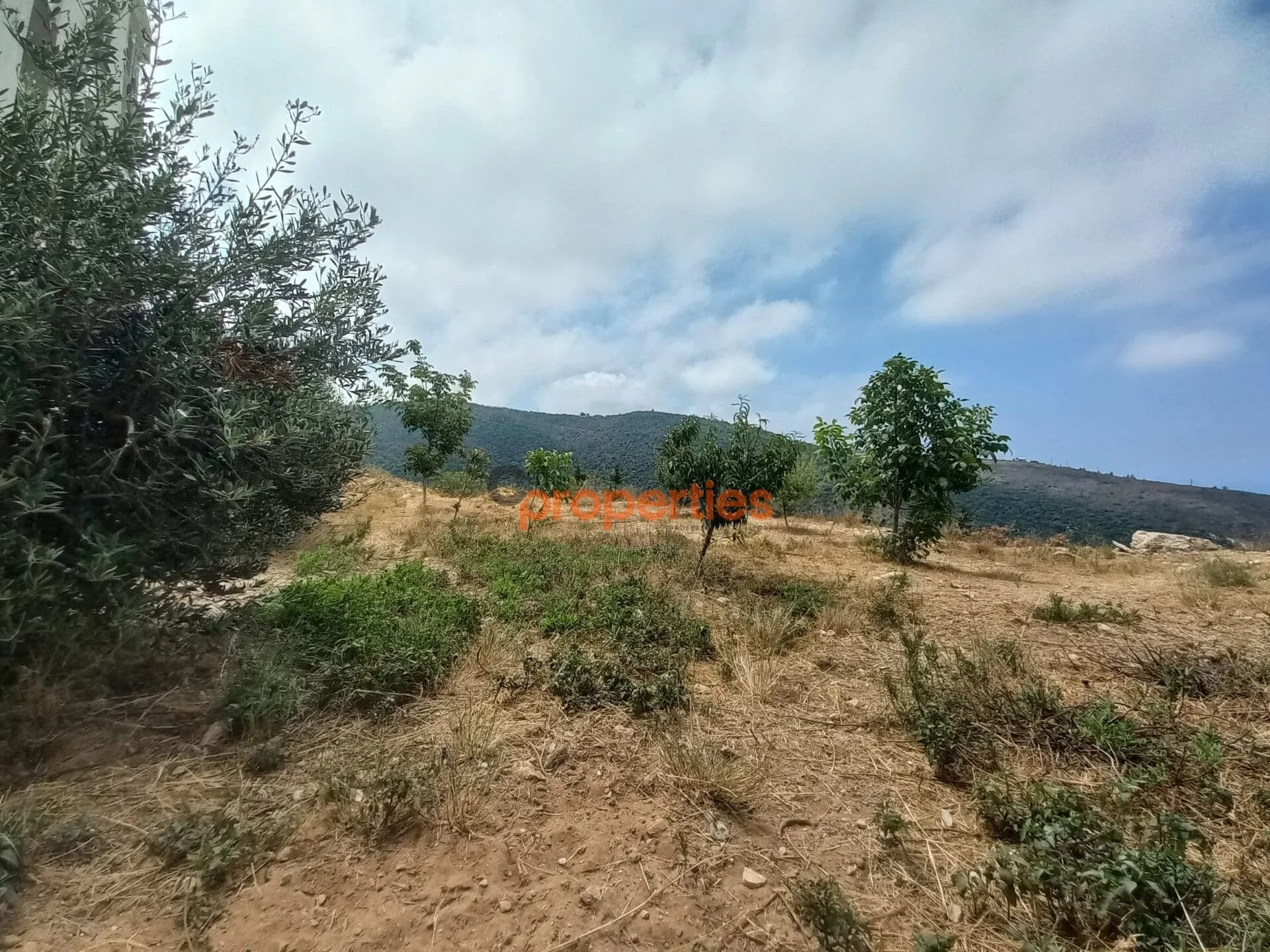 Land For Sale in Braij Jbeil CPJRK215