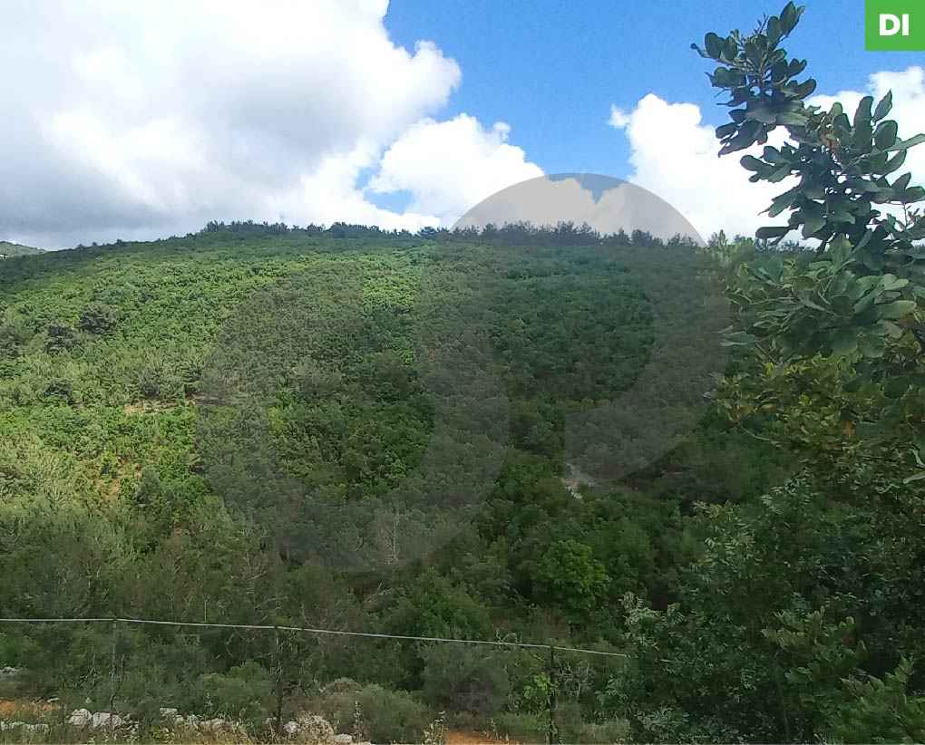 Land for Sale in Anan - Jezzine