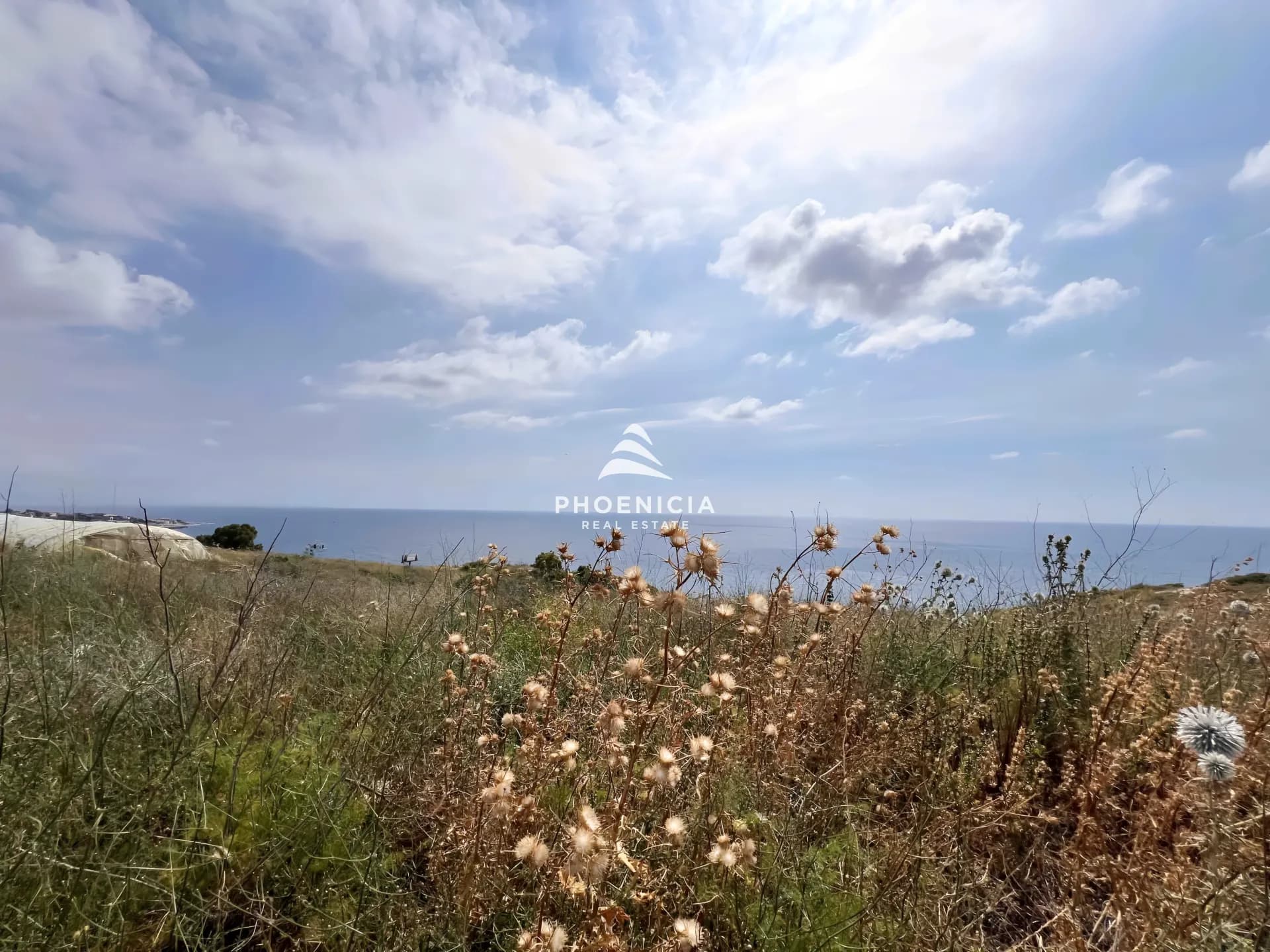 Land for Sale in Rihaniyye — photo 4