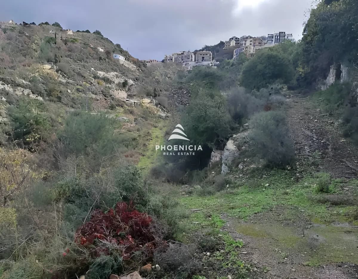 Land for Sale in Blat — photo 7