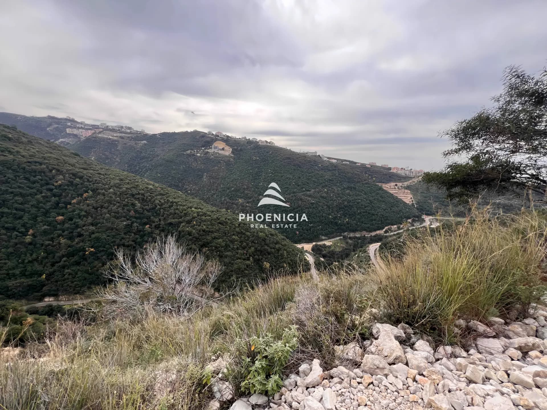 Land for Sale in Edde — photo 2