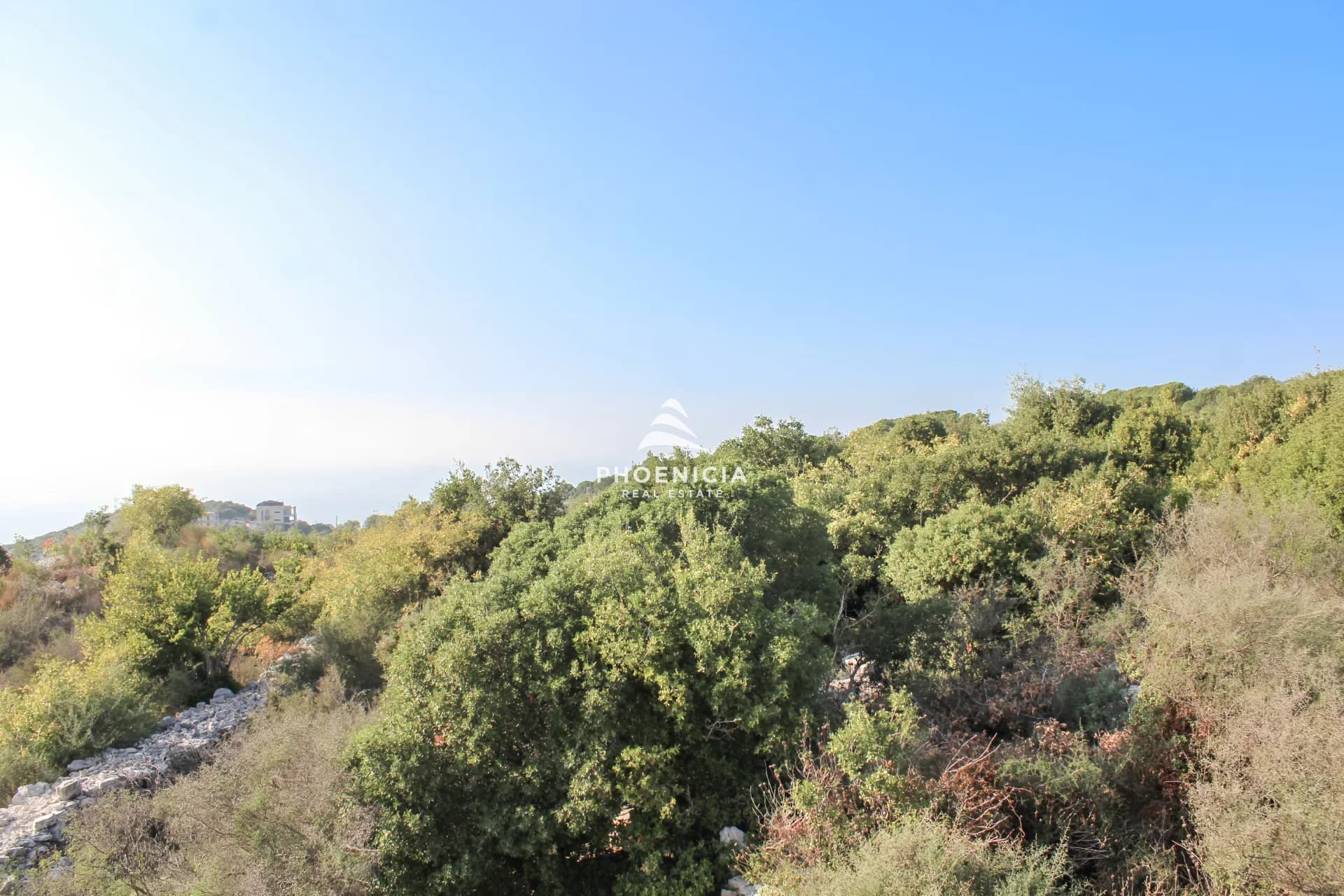 Land for Sale in Gharzouz — photo 2
