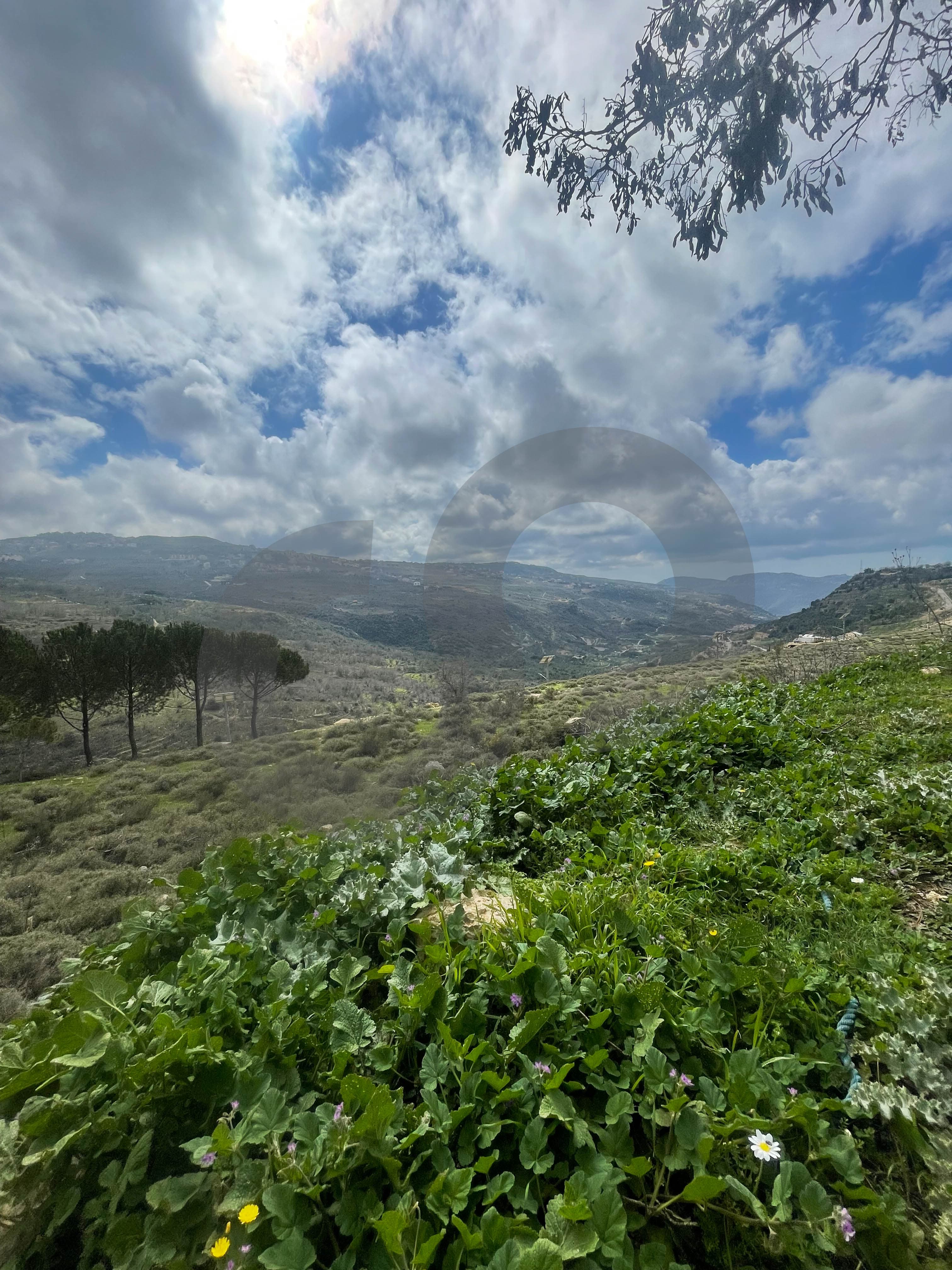 Prime Location,Surrounded by Villas, bhamdoun — photo 3