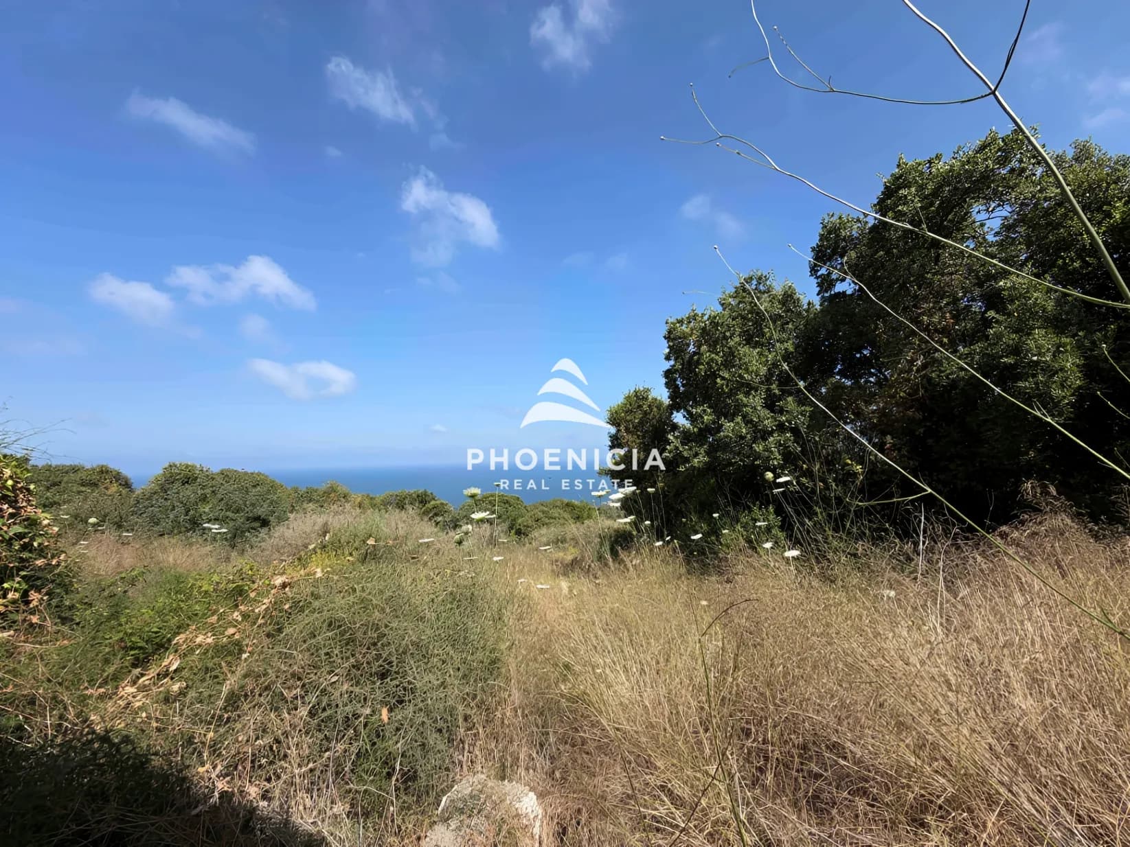 Residential Land for sale in Tehoum, Lebanon — photo 4