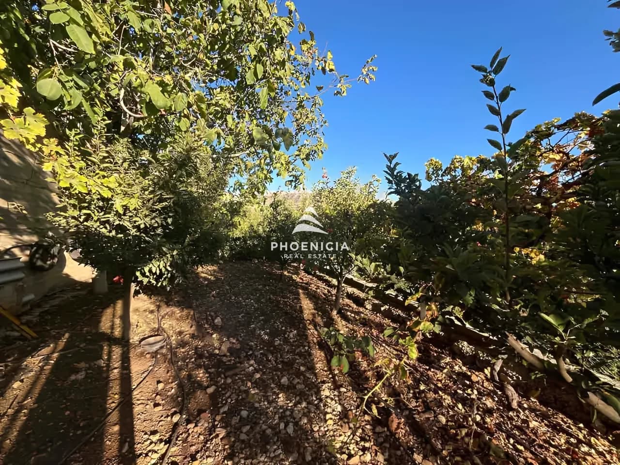 House for sale in Kfardebian — photo 9