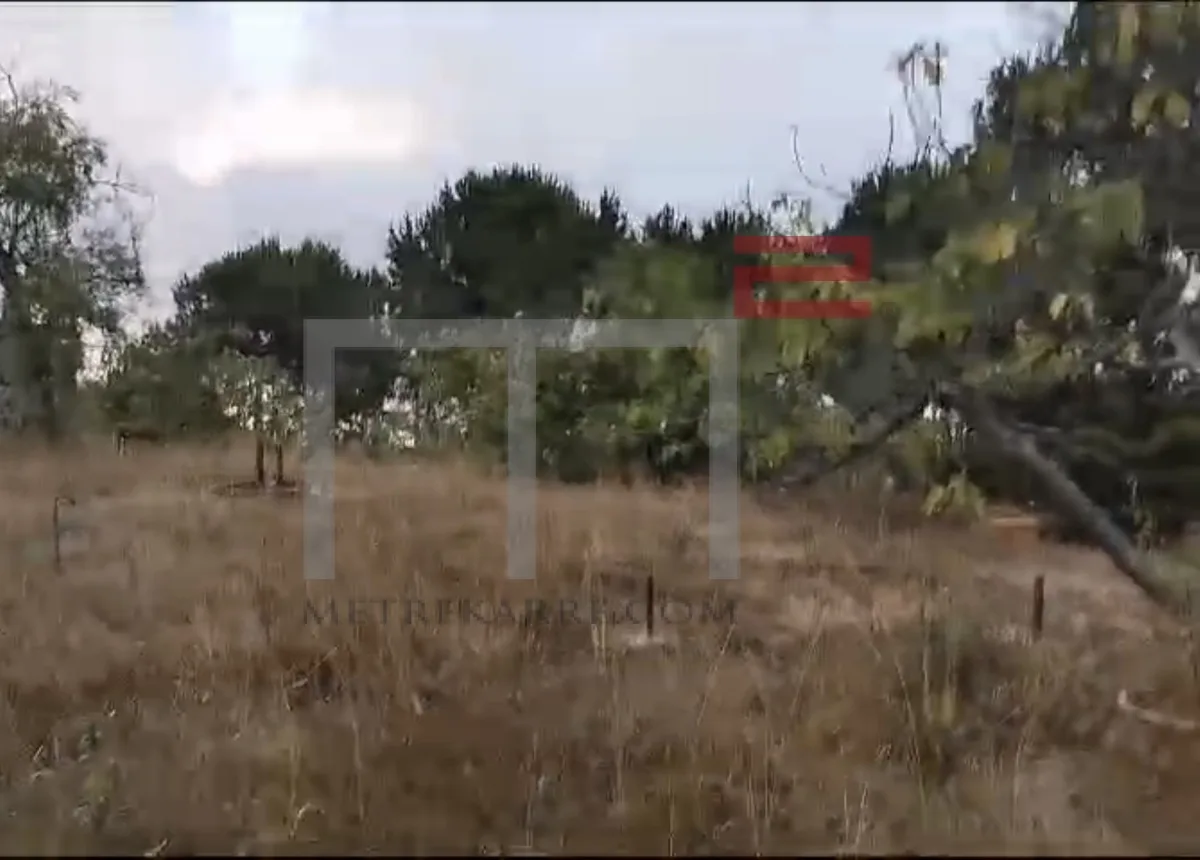 Land for Sale in Bhersaf — photo 1