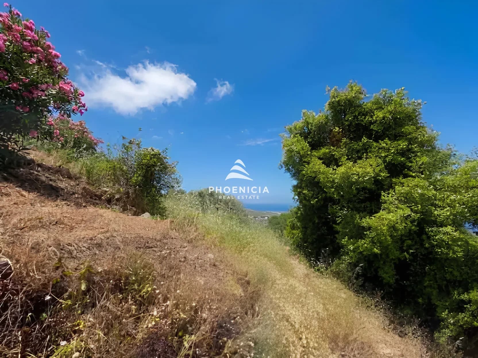 Residential Land for sale in Fghal, Lebanon — photo 2