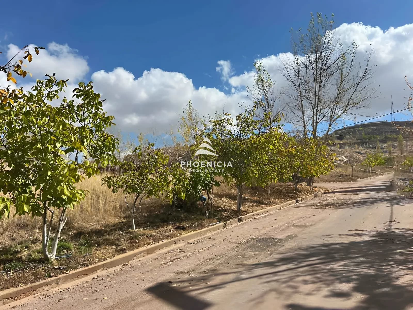 Land for Sale in Laqlouq — photo 6