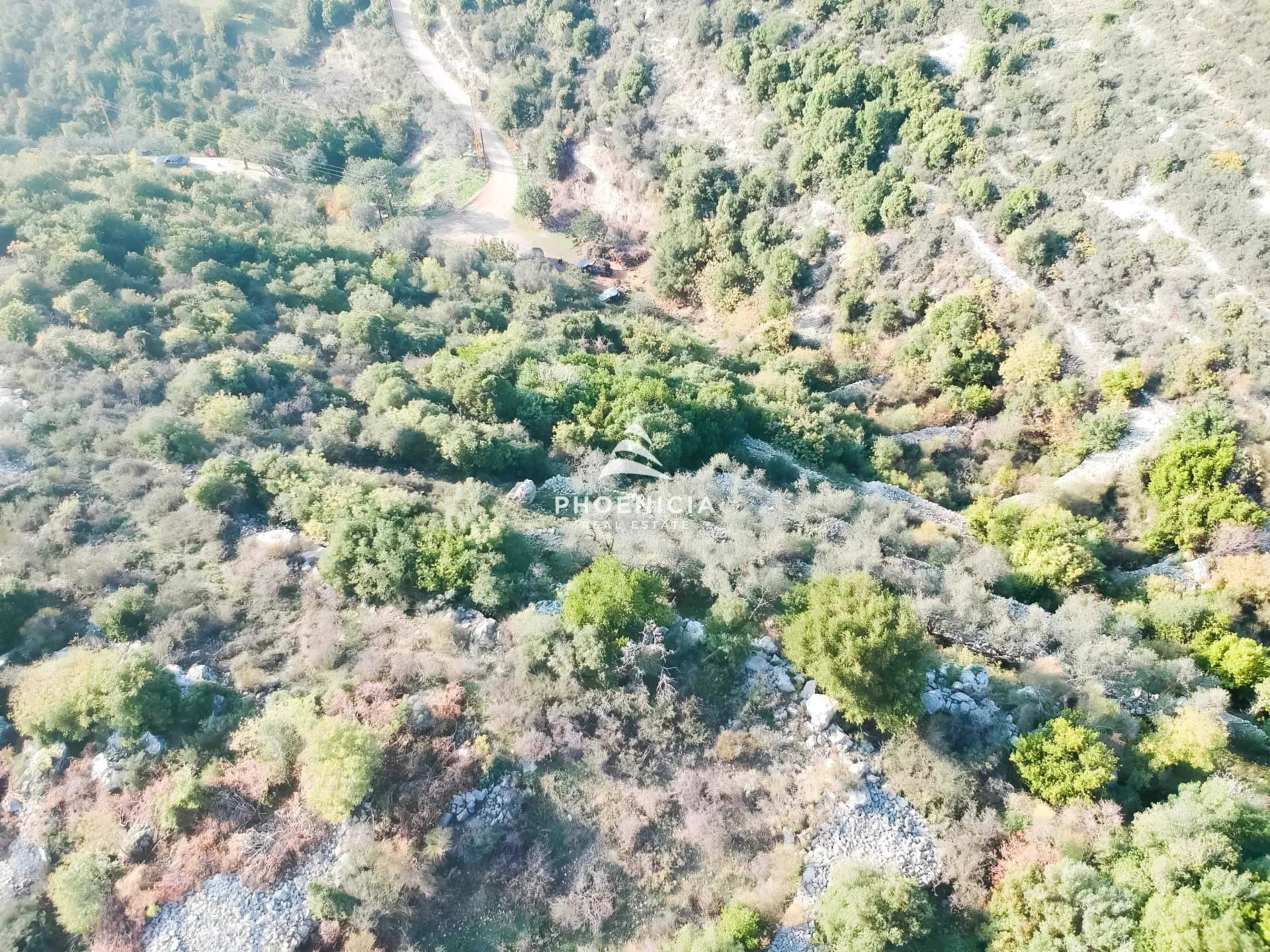 Land for Sale in Gharzouz — photo 8