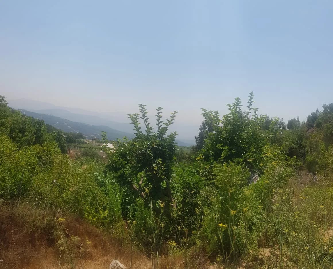 Land for Sale in Qlayaat, Lebanon — photo 1