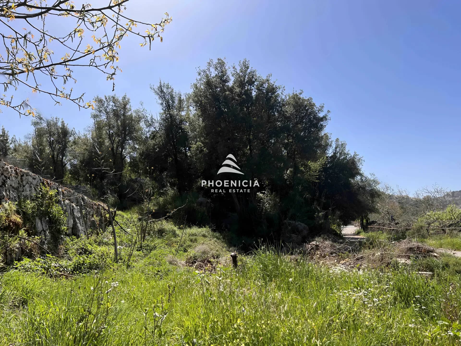 Land for Sale in Lehfed — photo 3