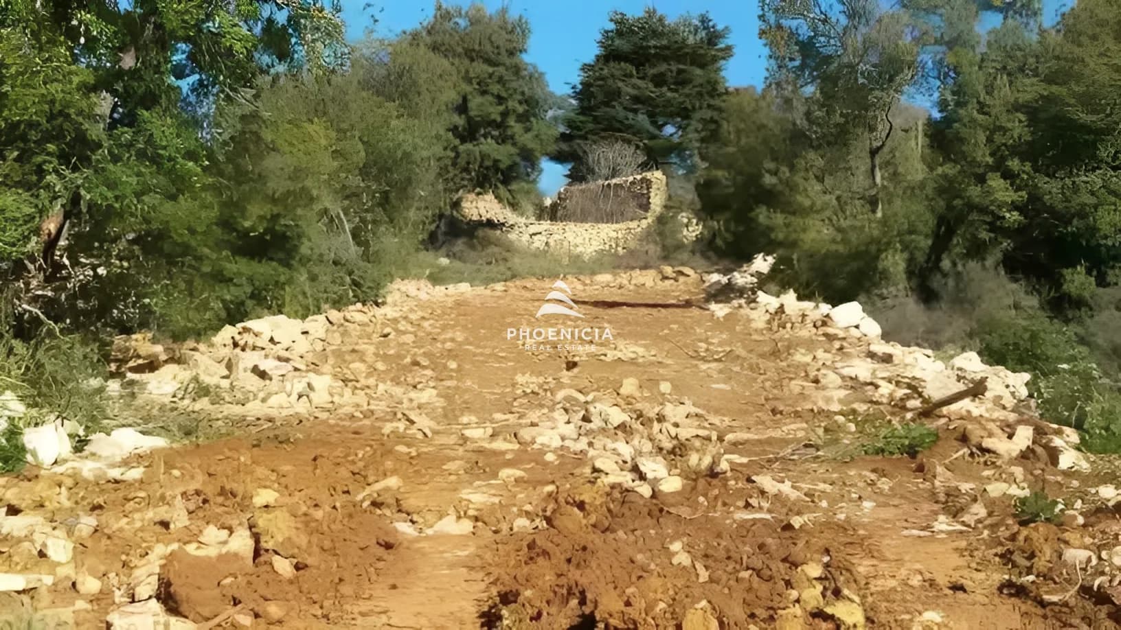 Land for Sale in Ehmej — photo 4