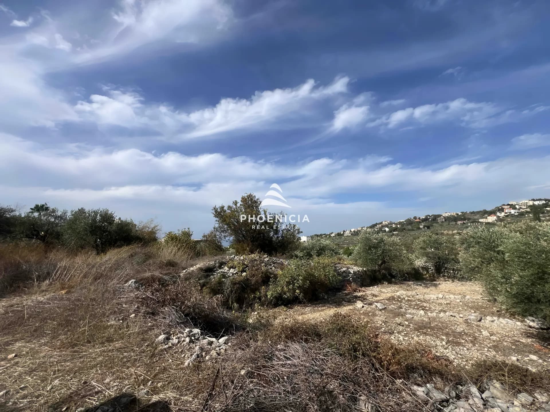 Land for Sale in Chikhane — photo 6