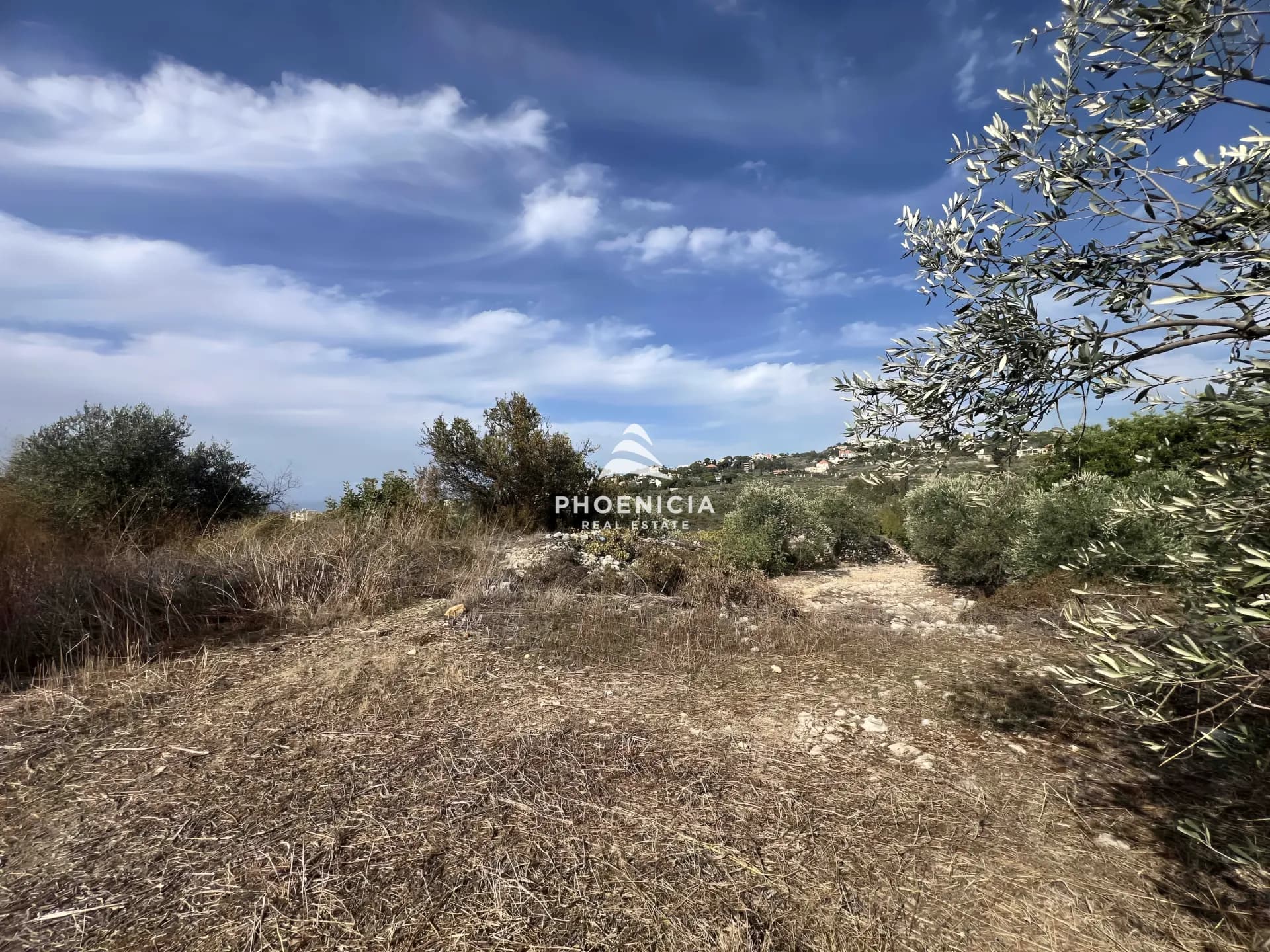 Land for Sale in Chikhane — photo 4