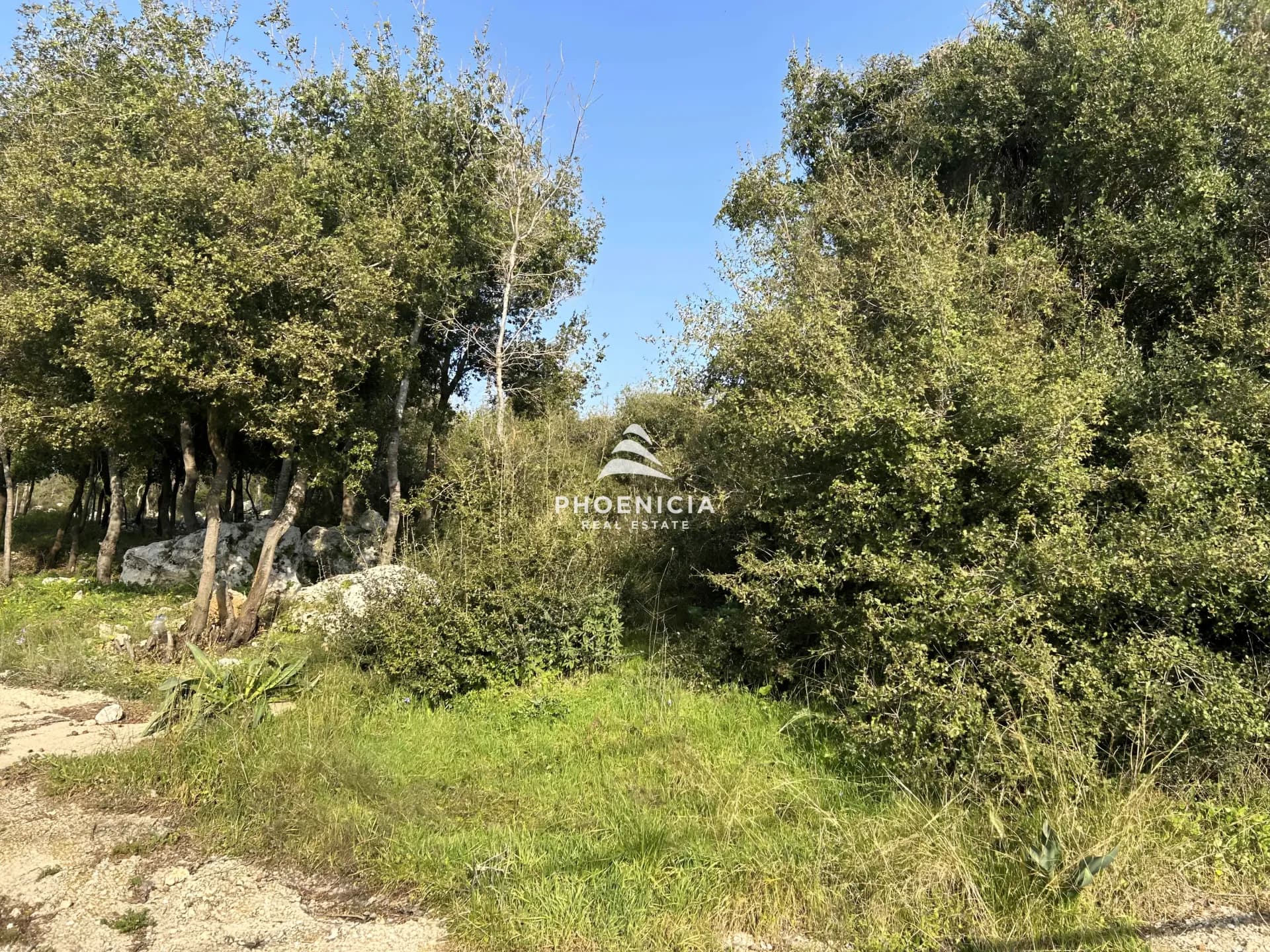 Land for Sale in Bouar, Lebanon — photo 2