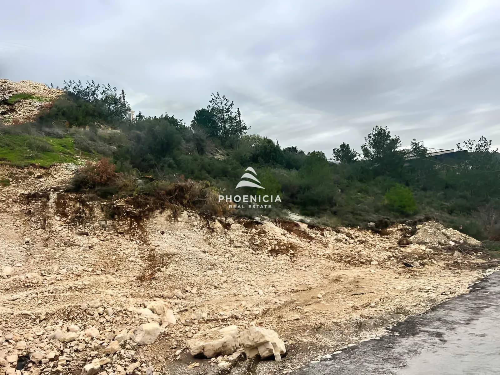 Land for Sale in Blat — photo 6