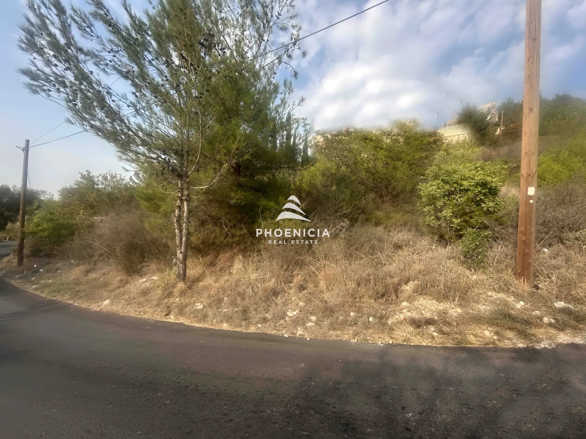 Land for Sale in Blat — photo 5