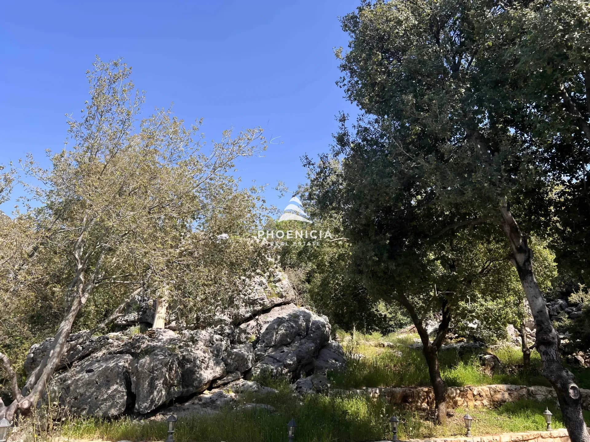 Land for Sale in Lehfed — photo 8