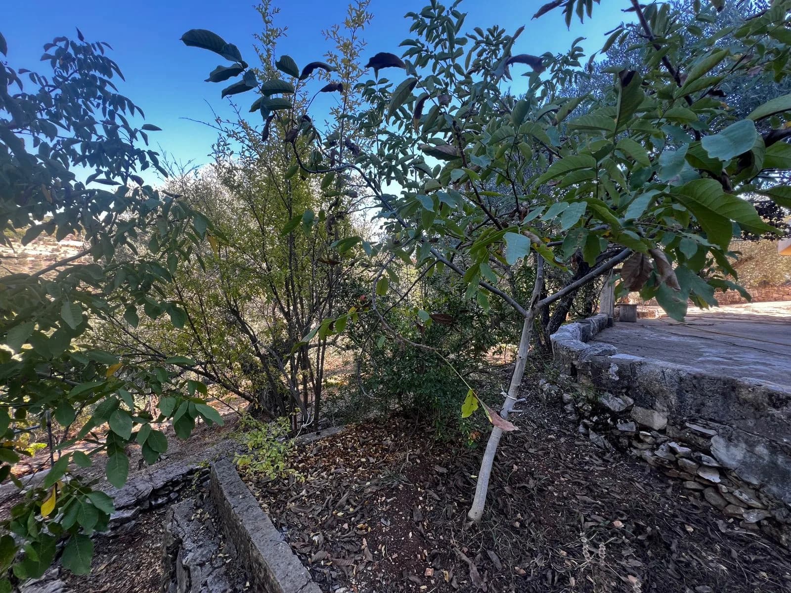 Land for Sale in Bkifa, Lebanon — photo 8