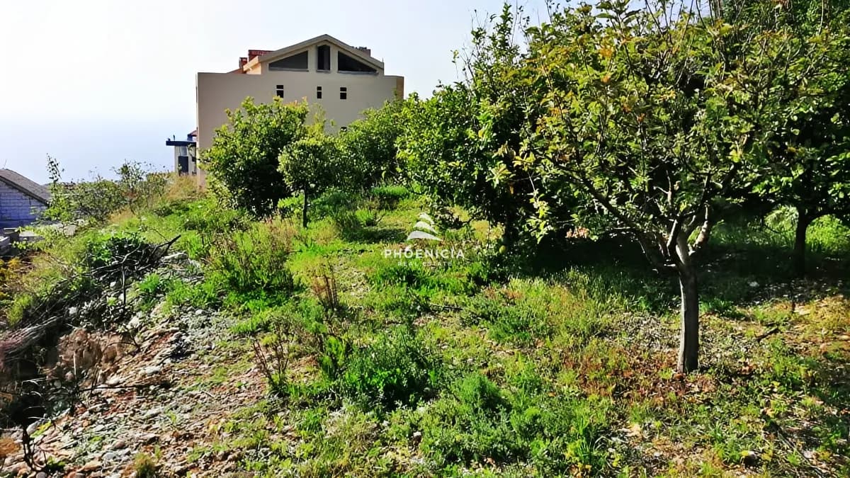 Land for Sale in Blat — photo 3