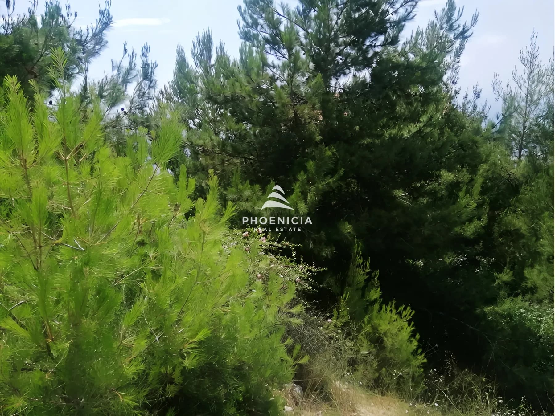 Land for Sale in Blat — photo 3