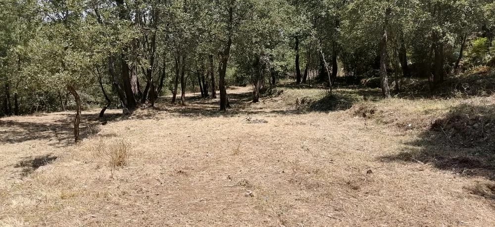 Land for Sale in Bzebdine, Lebanon — photo 5