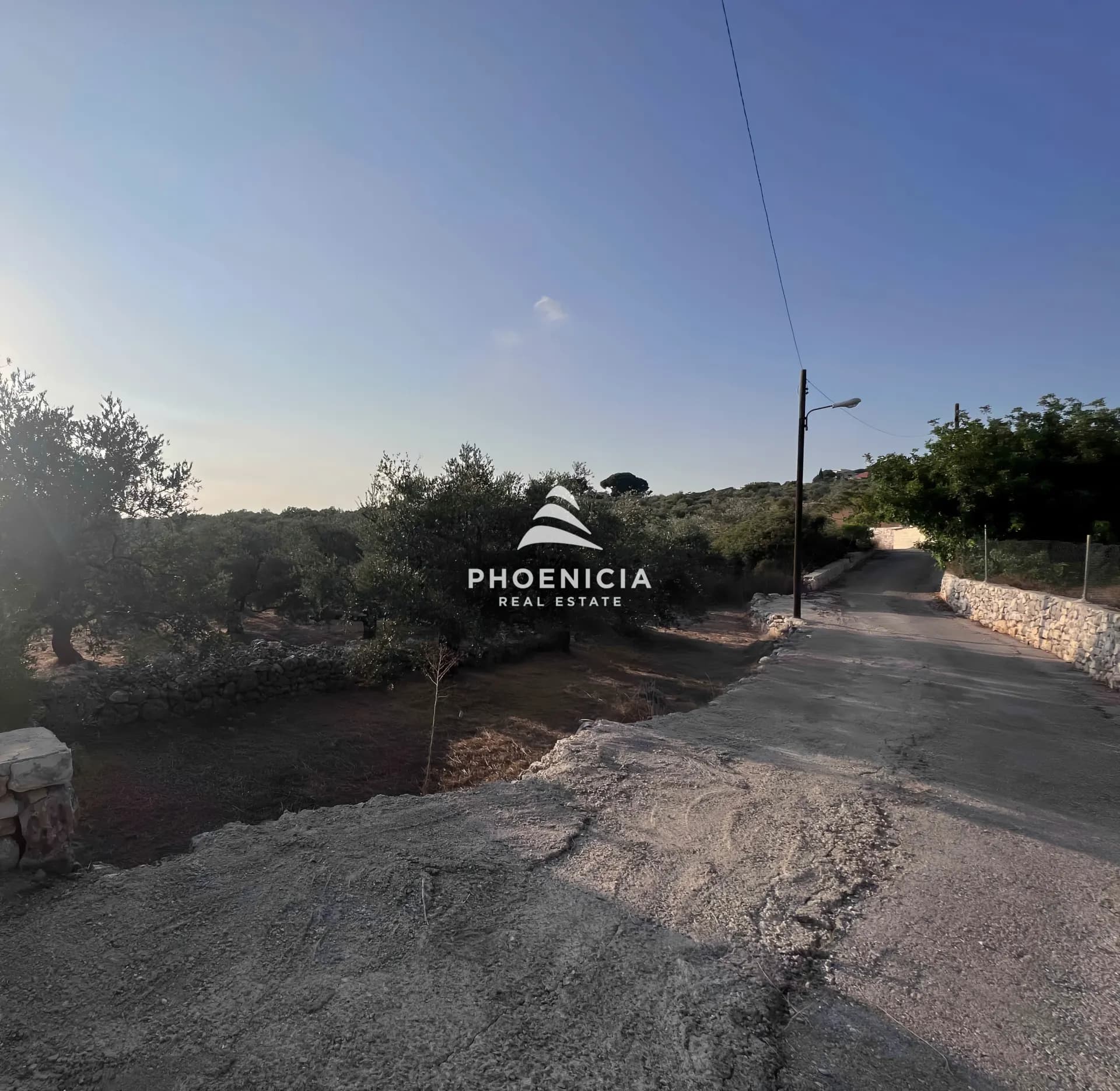 Land for Sale in Chikhane — photo 2
