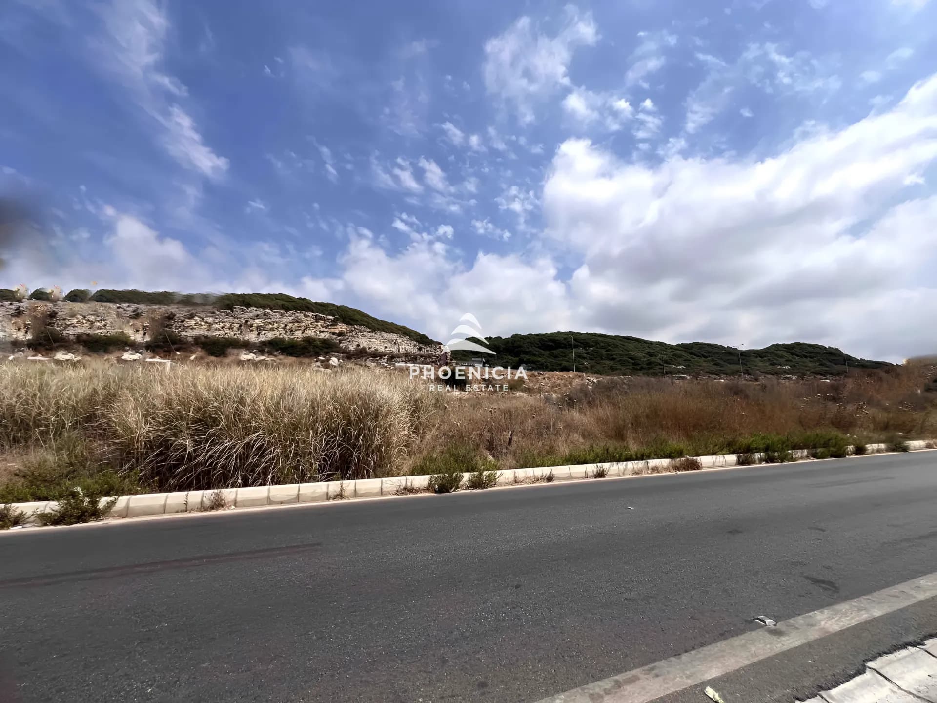 Land for Sale in Aamchit — photo 4