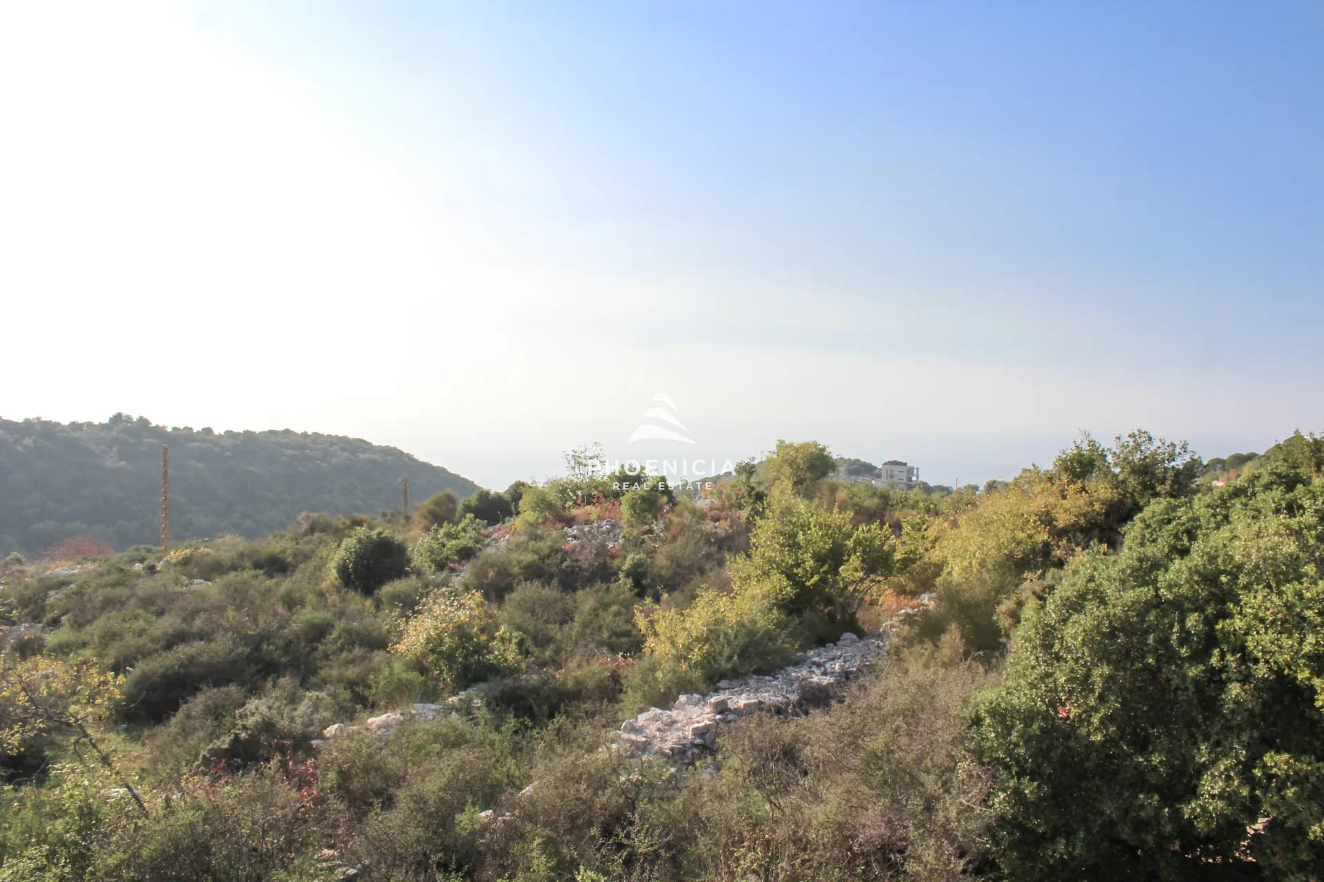 Land for Sale in Gharzouz — photo 1