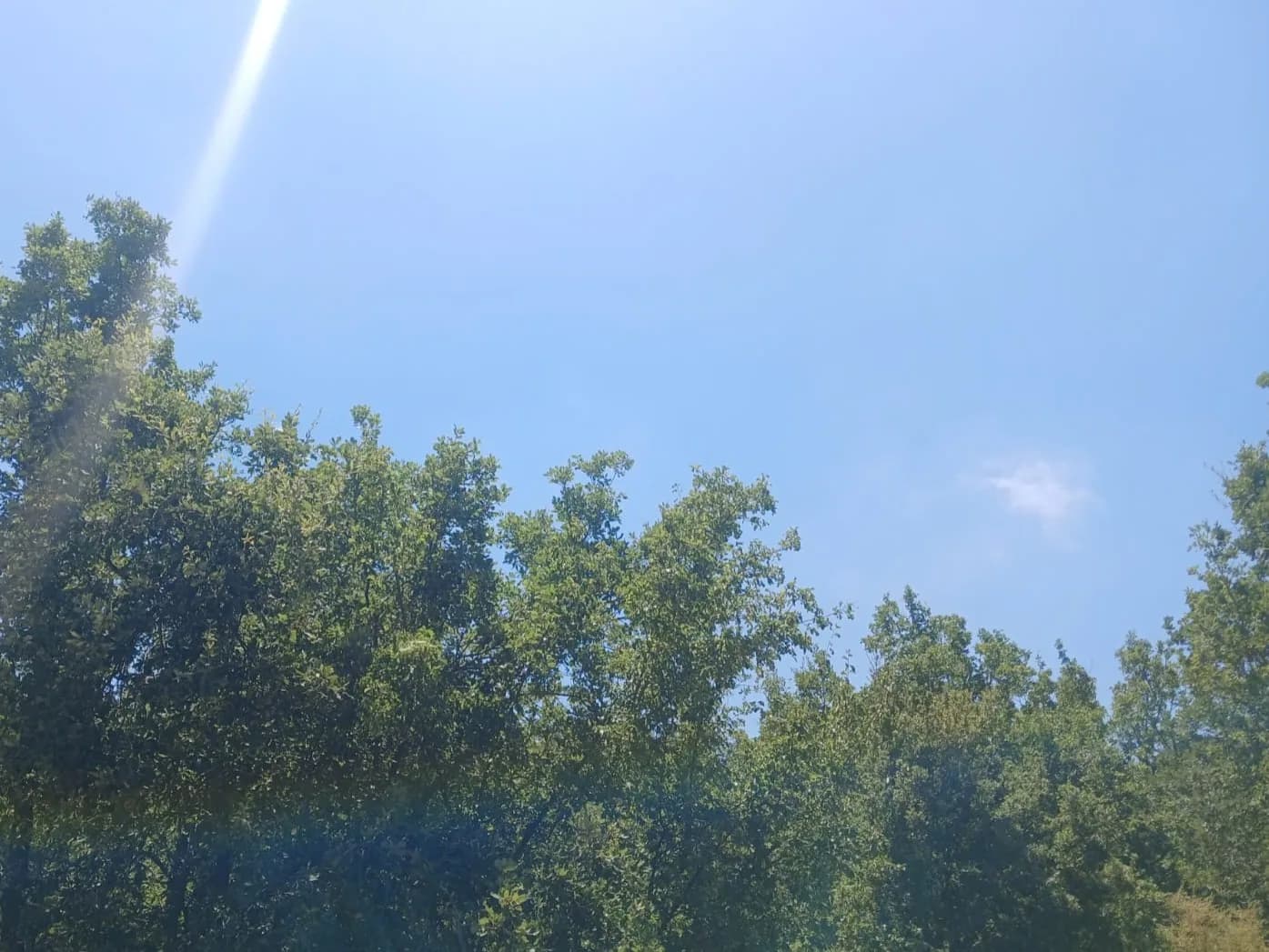 Land for Sale in Bikfaiya