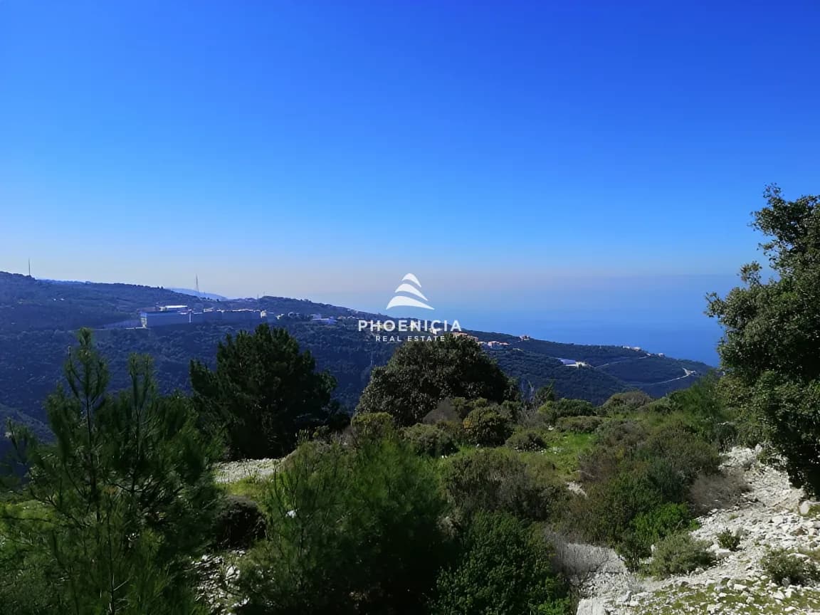 Land for Sale in Blat — photo 6