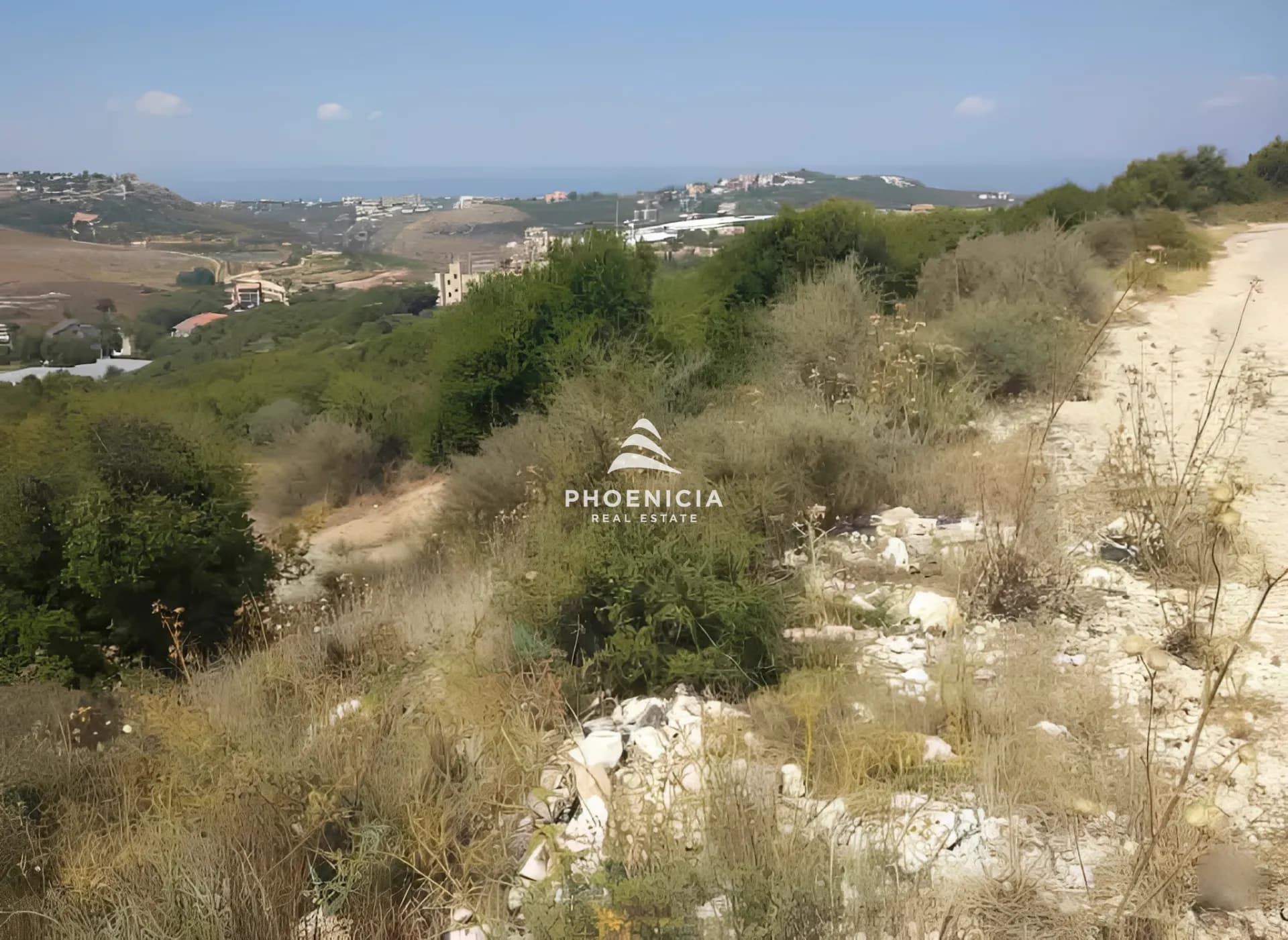 Land for Sale in Gharzouz — photo 4