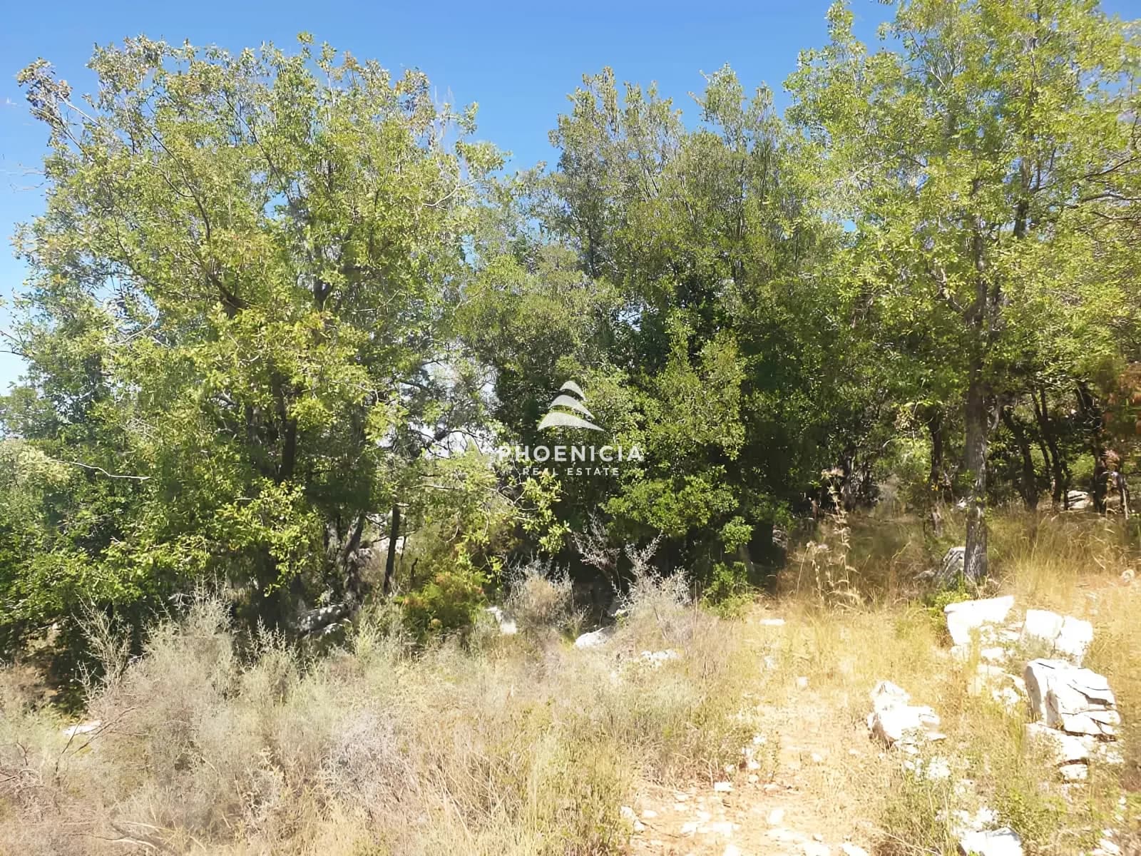Land for Sale in Mechmech — photo 6