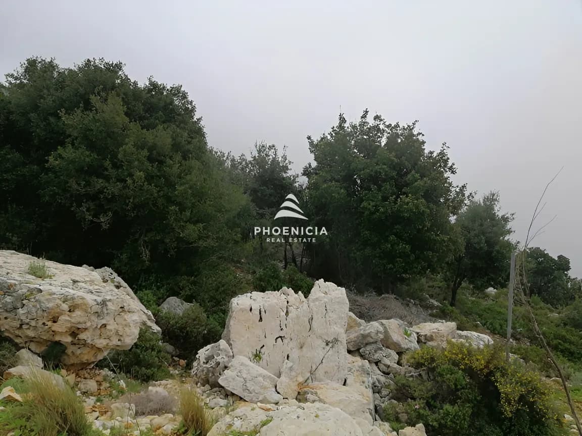Land for Sale in Blat — photo 14