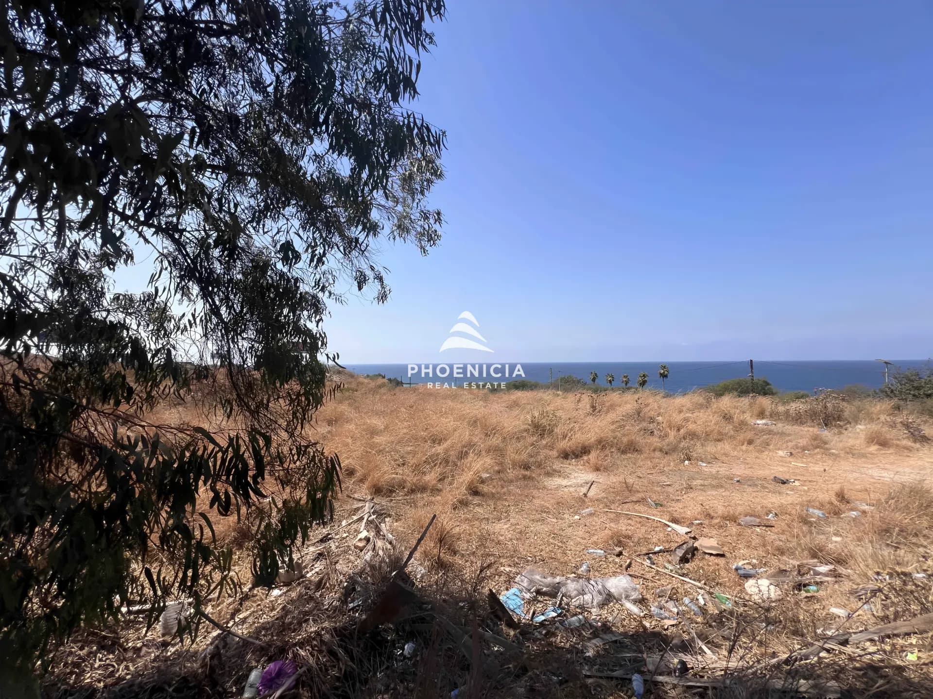 Land for Sale in Berbara — photo 6